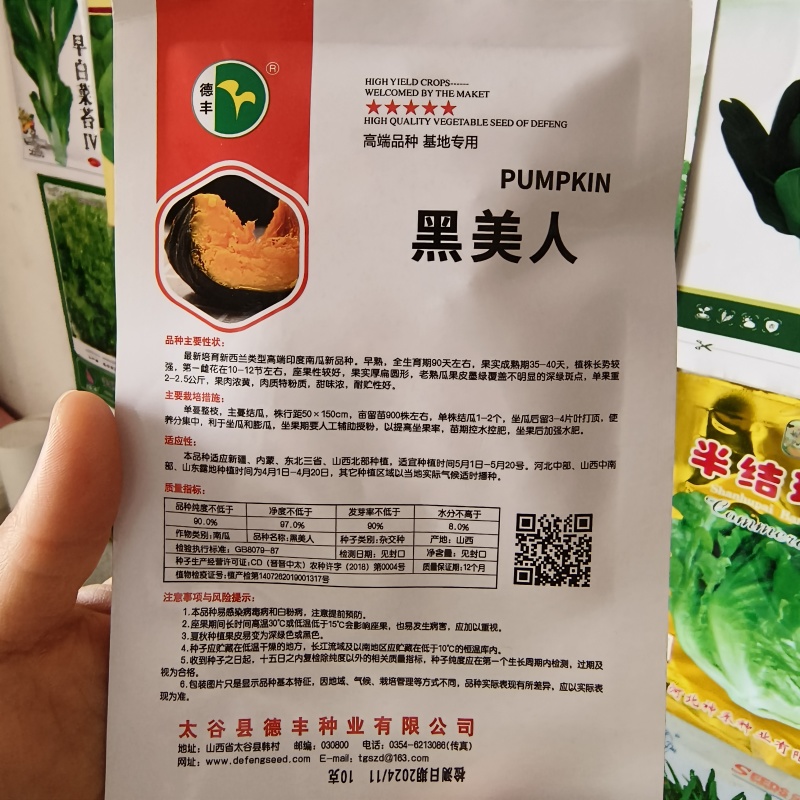 德丰白栗南瓜种子春播中熟厚扁圆形肉粉质老南瓜