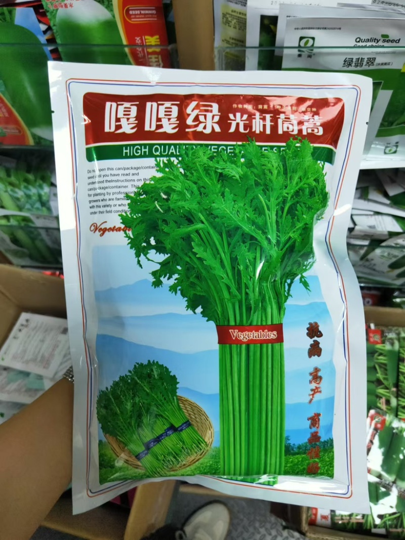 光杆茼蒿种子500g小叶茼蒿籽丰产皇帝菜茼蒿菜籽蔬