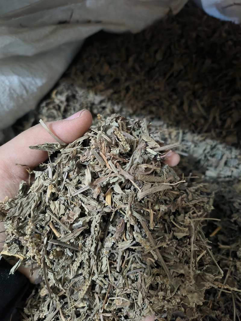 车前草中药材批发干货无潮干净无杂质