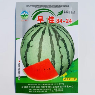 正宗新疆天山早佳8424西瓜种子早熟高产春秋大棚基地84
