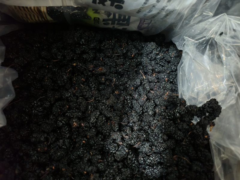 桑葚桑葚干中药材批发