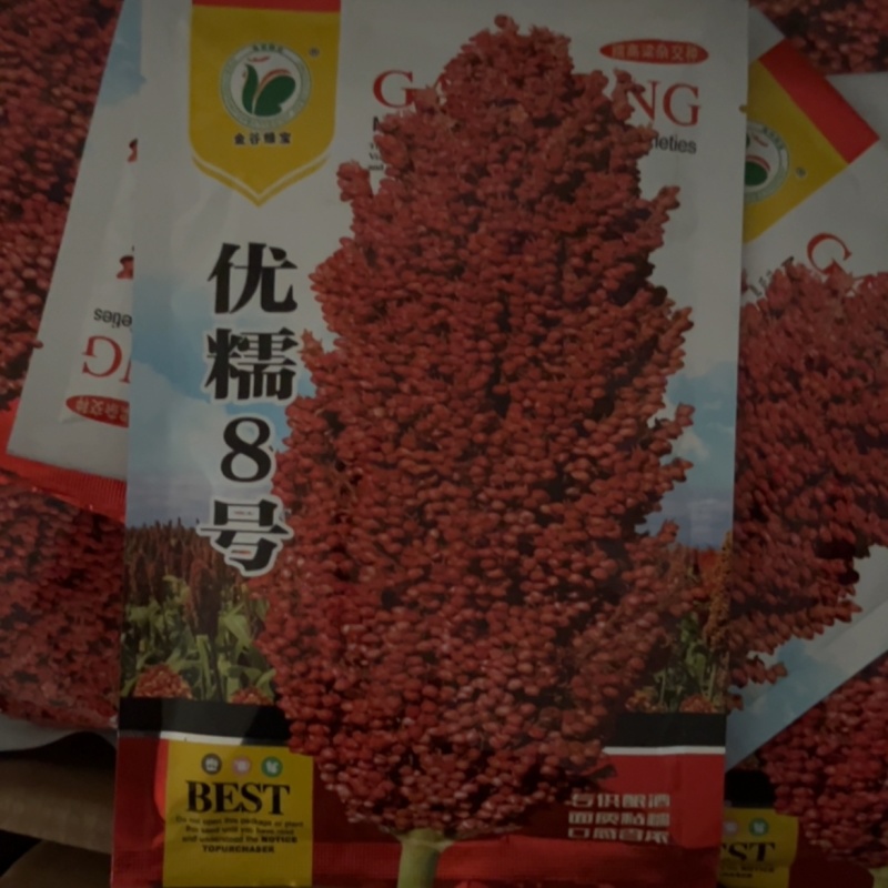优糯8号