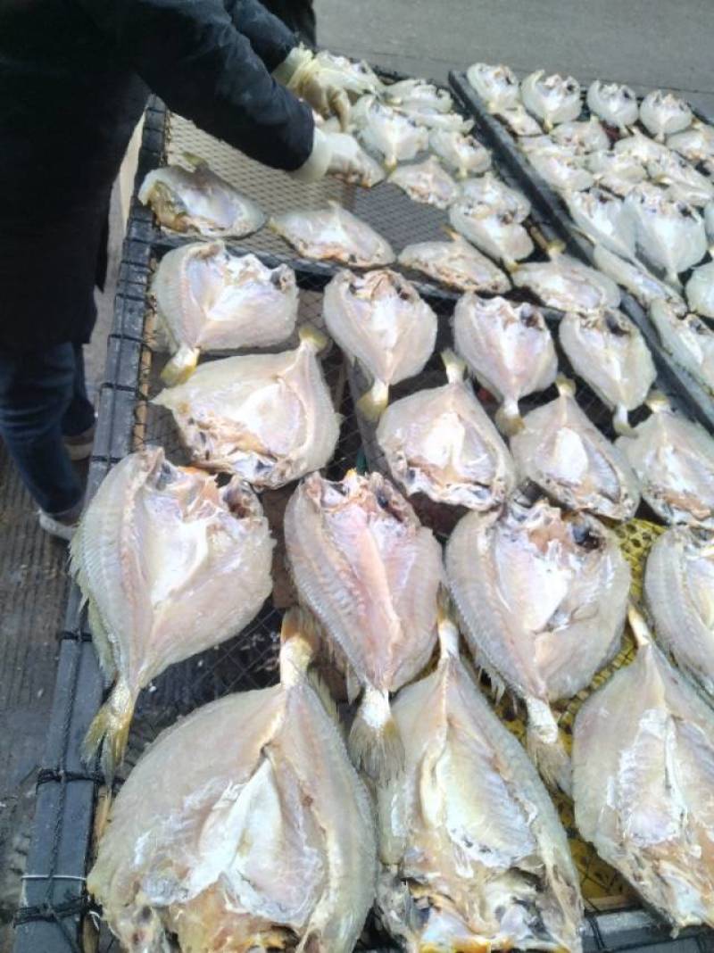 黄鱼干