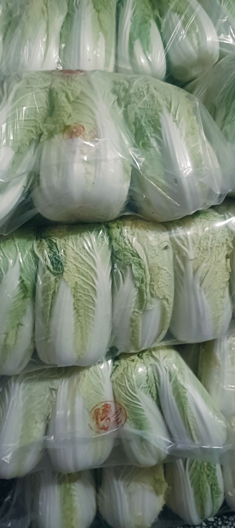 精品娃娃菜货源充足需要联系。