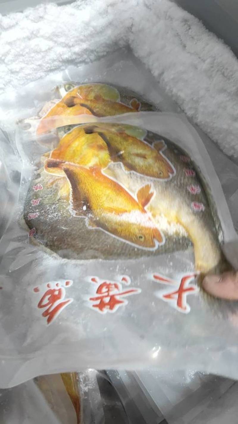 黄鱼干