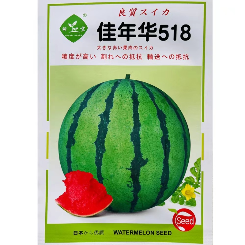 纯正美都大齐1000美都西瓜种子高糖皮薄抗裂高产西瓜种子