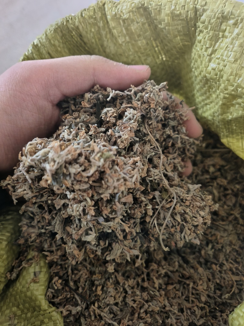 芫花中药材批发正品芫花质量保证