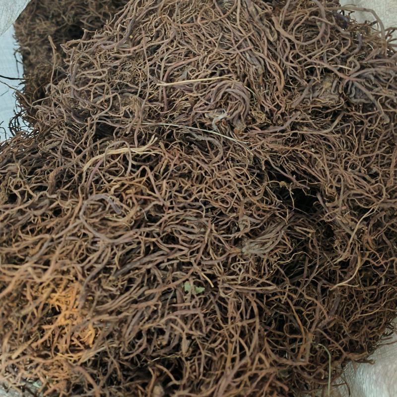 紫苑中药材批发新货现货质量保证
