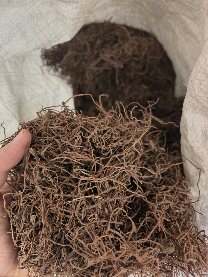 紫苑中药材批发新货现货质量保证