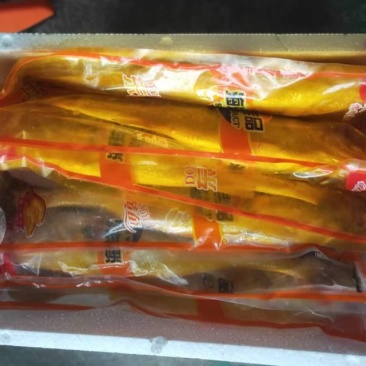 外海网箱黄鱼500g/55元，不包邮费