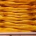 外海网箱黄鱼500g/55元，不包邮费