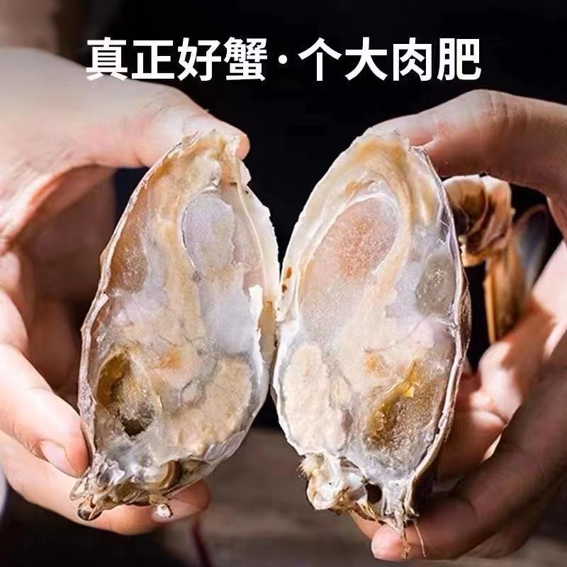 单冻梭子蟹母蟹公蟹三角排箱都有货，支持一件代发
