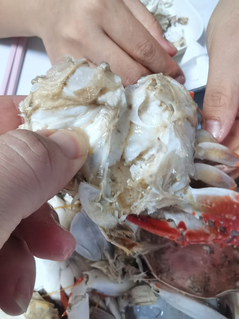 单冻梭子蟹母蟹公蟹三角排箱都有货，支持一件代发