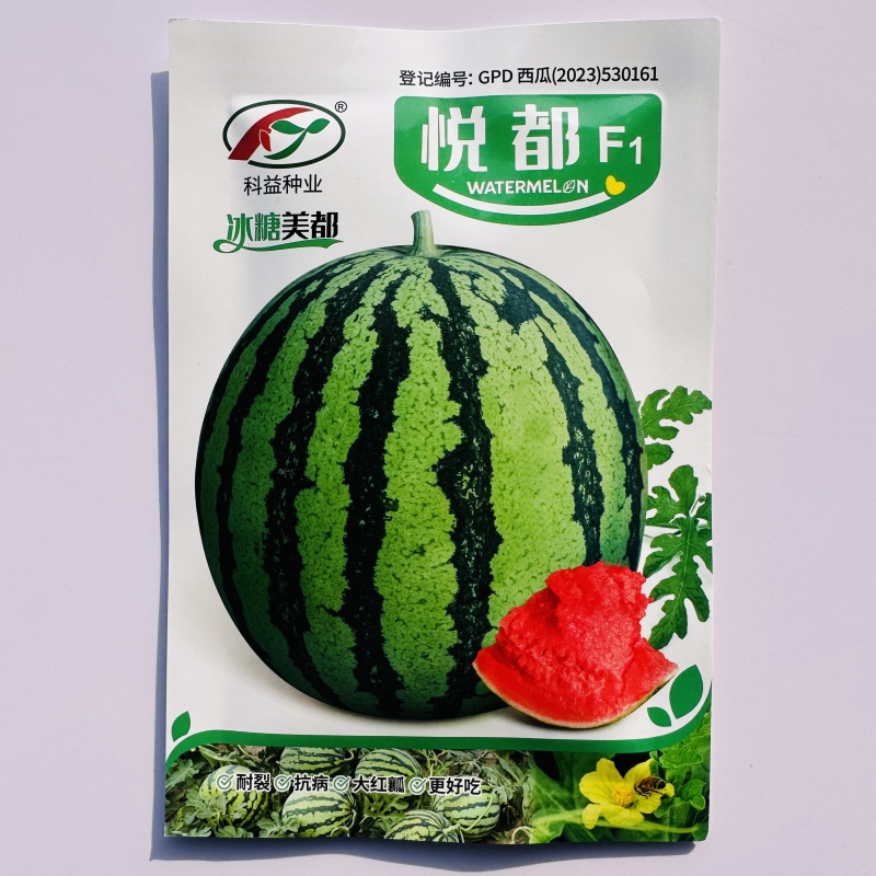 纯正美都大齐1000美都西瓜种子高糖皮薄抗裂高产西瓜种子