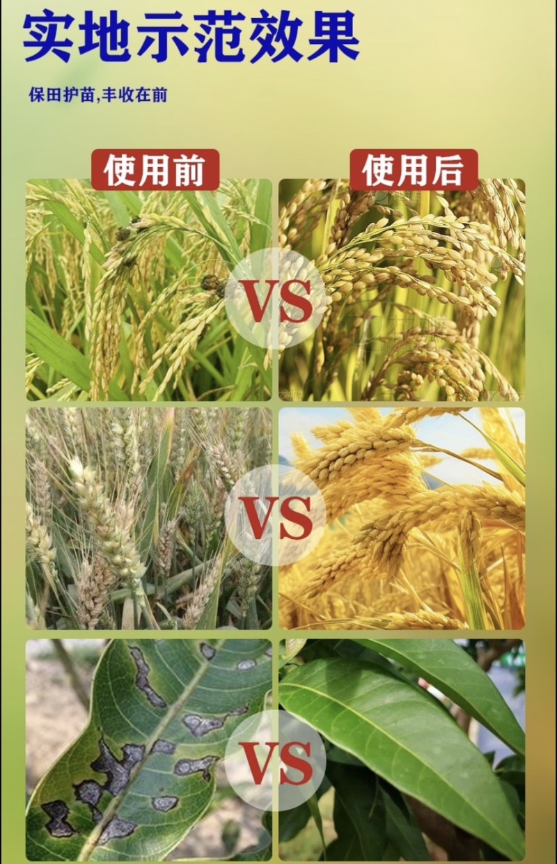建农30%肟菌·戊唑醇水稻稻曲病农药杀菌剂