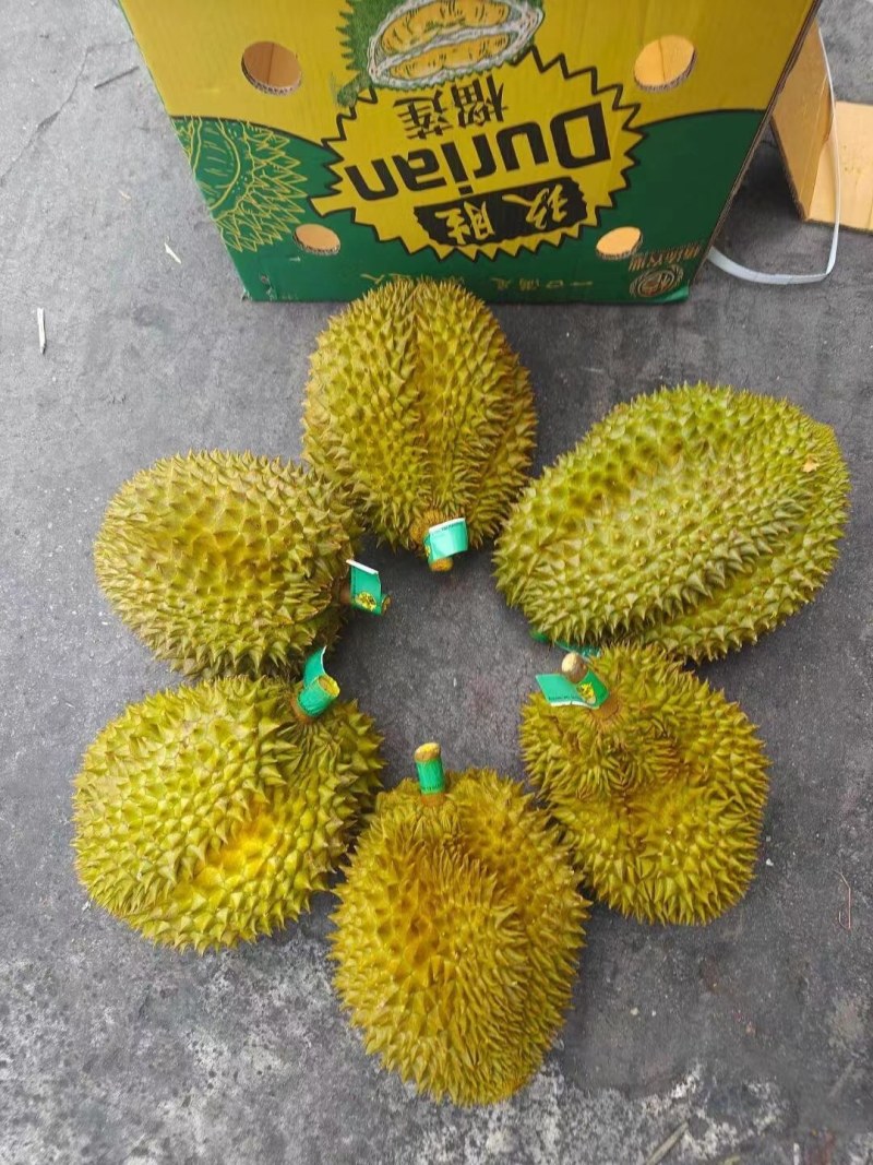 榴莲