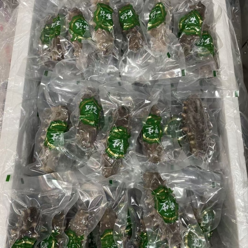 鲜食海参