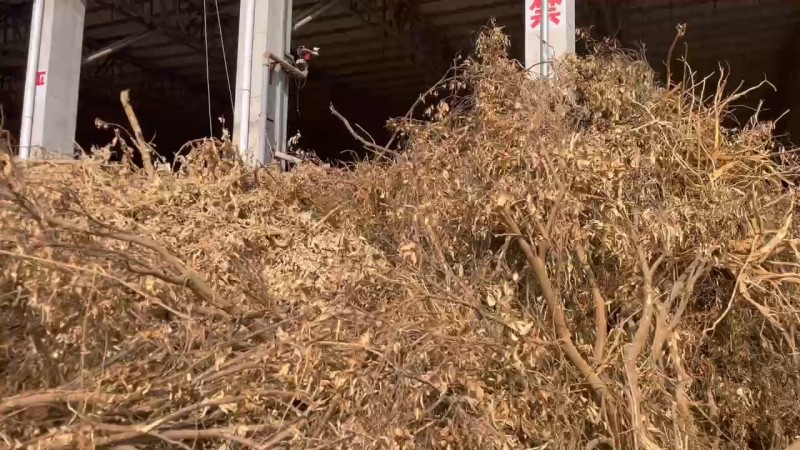草木灰厂家直销纯植物燃烧草木灰天然钾肥有机肥改良土
