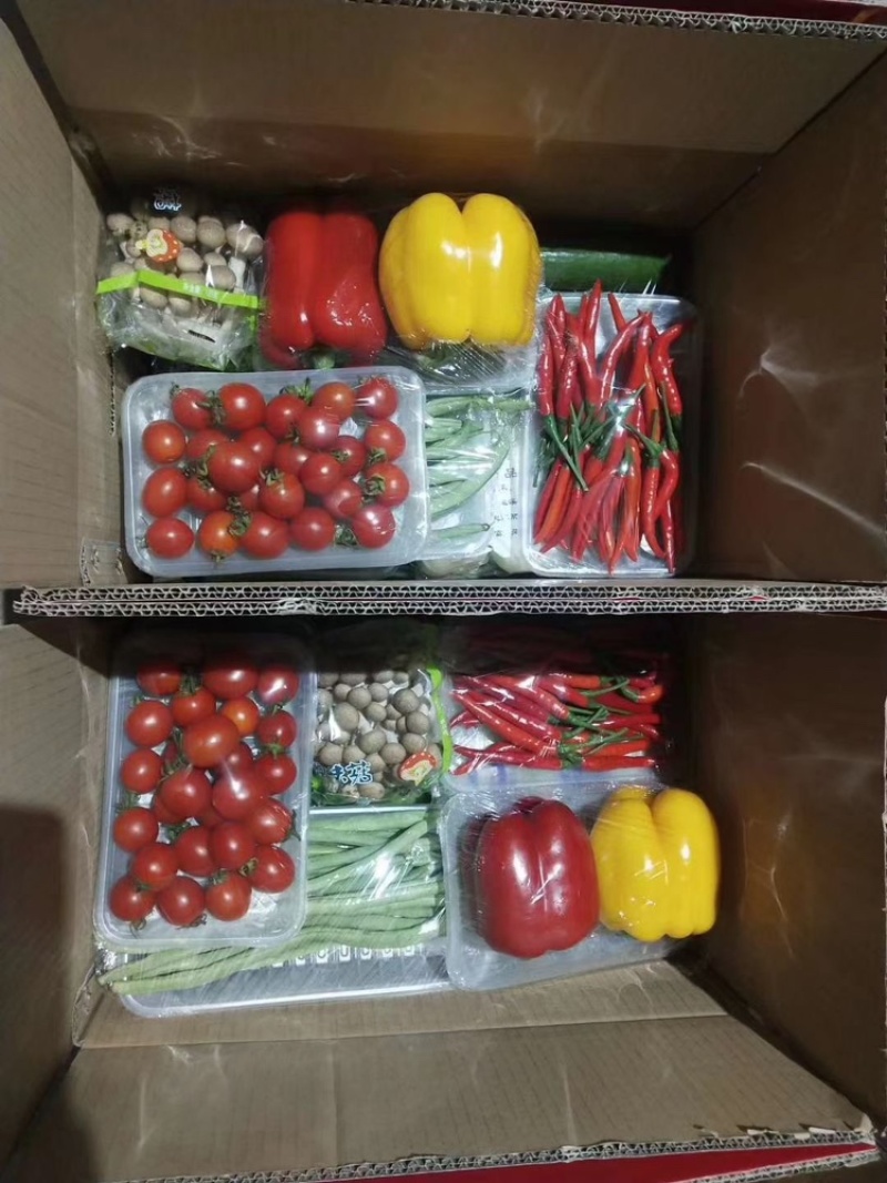 精品礼品盒蔬菜，精品礼品盒水果，大量供应中，请联系我！