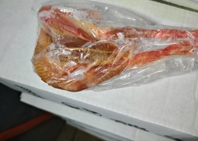 精品乳鸽