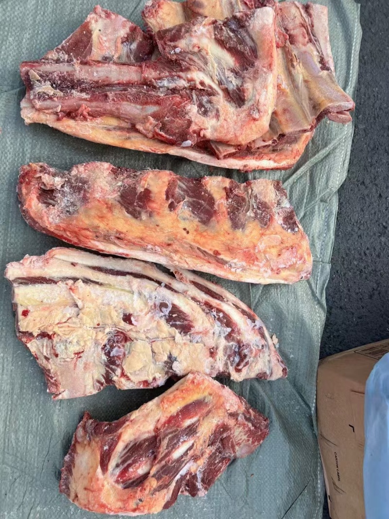 黄膘牛胸骨