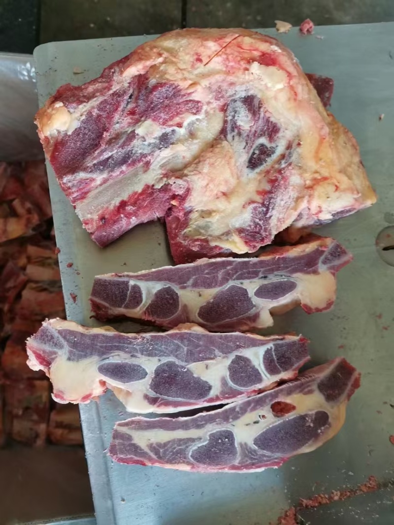 黄膘牛胸骨