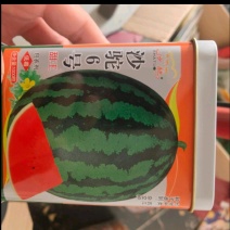 甜王西瓜种子甜王~沙驼6号.懒汉含糖量高，大果，耐重茬