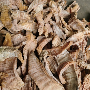 5-9中长片笋干精选笋干竹笋干大量现货欢迎电话联系