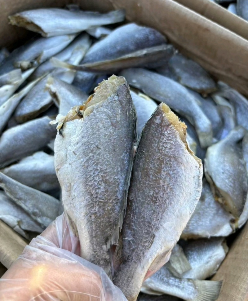 黄花鱼去头去皮去内脏煎炸炖都好吃得鱼代发全国市场价格优惠