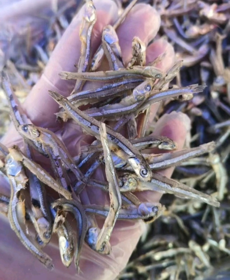 公干鱼干度好电商专用一箱净29斤产地批发大量供货
