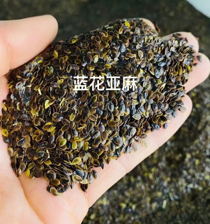 蓝花亚麻厂家货源批发价格全国发货价格便宜欢迎下单咨询