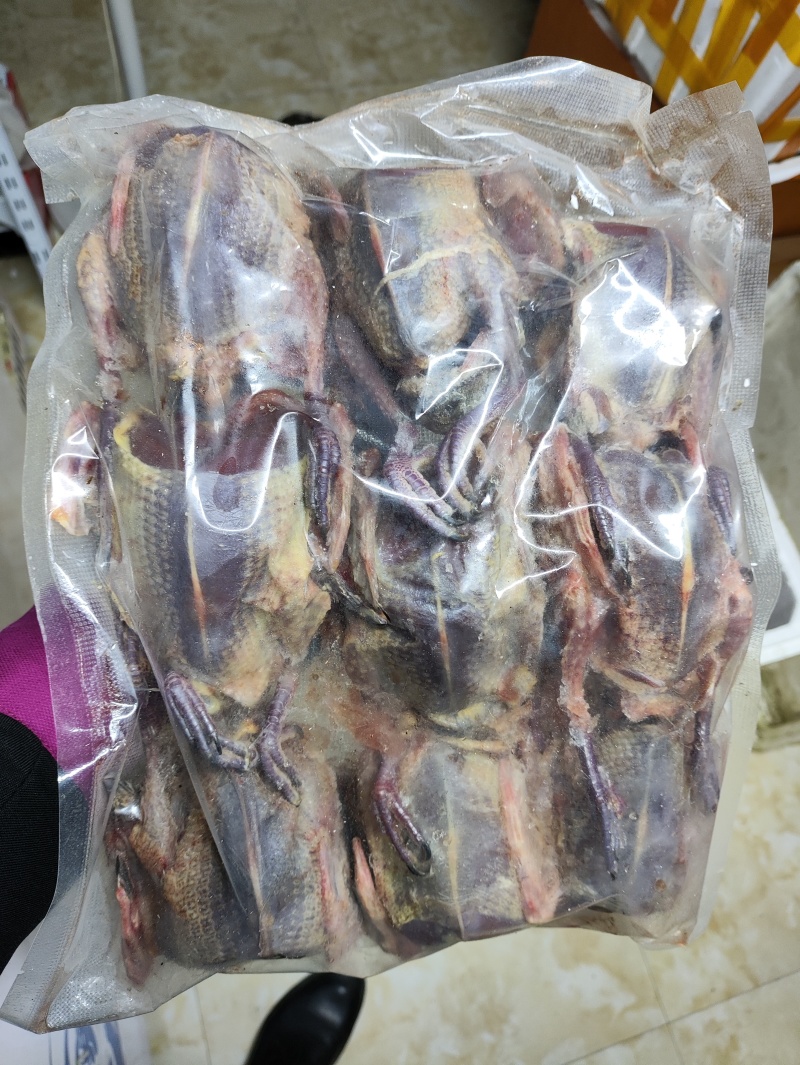 鸽子，大补鸠，煲粥