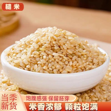 （包邮）糙米新米粗粮七色糙米饭五谷杂粮低脂健身新鲜代餐