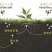 炽繁精致有机肥改良土壤板结瓜果蔬菜通用肥料