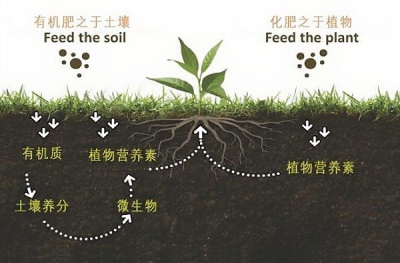 炽繁精致有机肥改良土壤板结瓜果蔬菜通用肥料