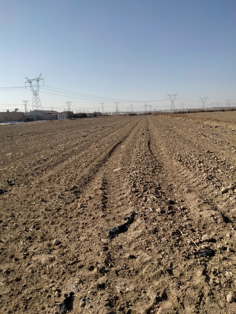 土地流转有井水黄河水