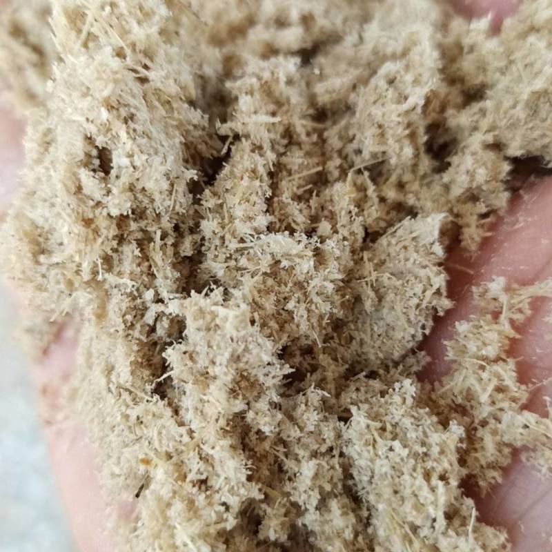 新鲜甘蔗渣