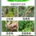 邦安丰30%甲霜恶霉灵立枯病农用土壤消毒正品农药杀菌剂