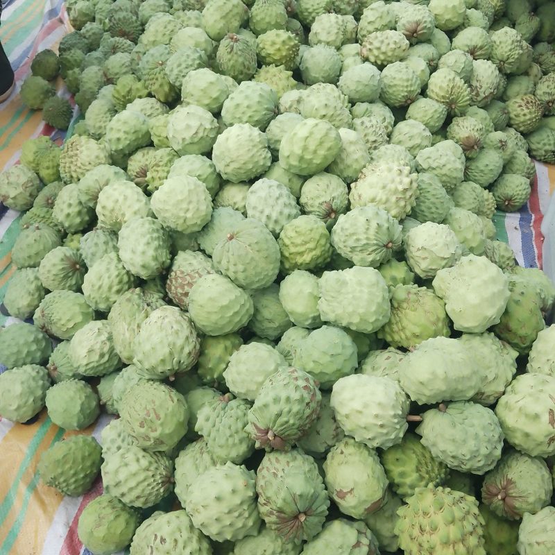 直接电话，凤梨释迦果大量上市，支持电商微商一件代发