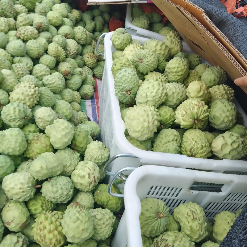 直接电话，凤梨释迦果大量上市，支持电商微商一件代发
