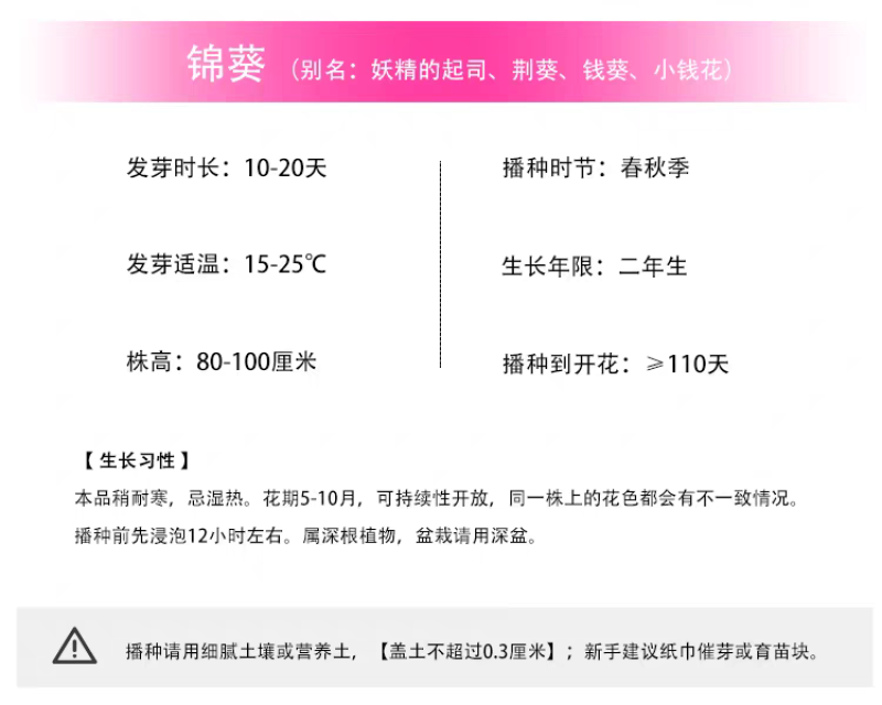 锦葵厂家货源批发价格全国发货价格便宜欢迎下单咨询