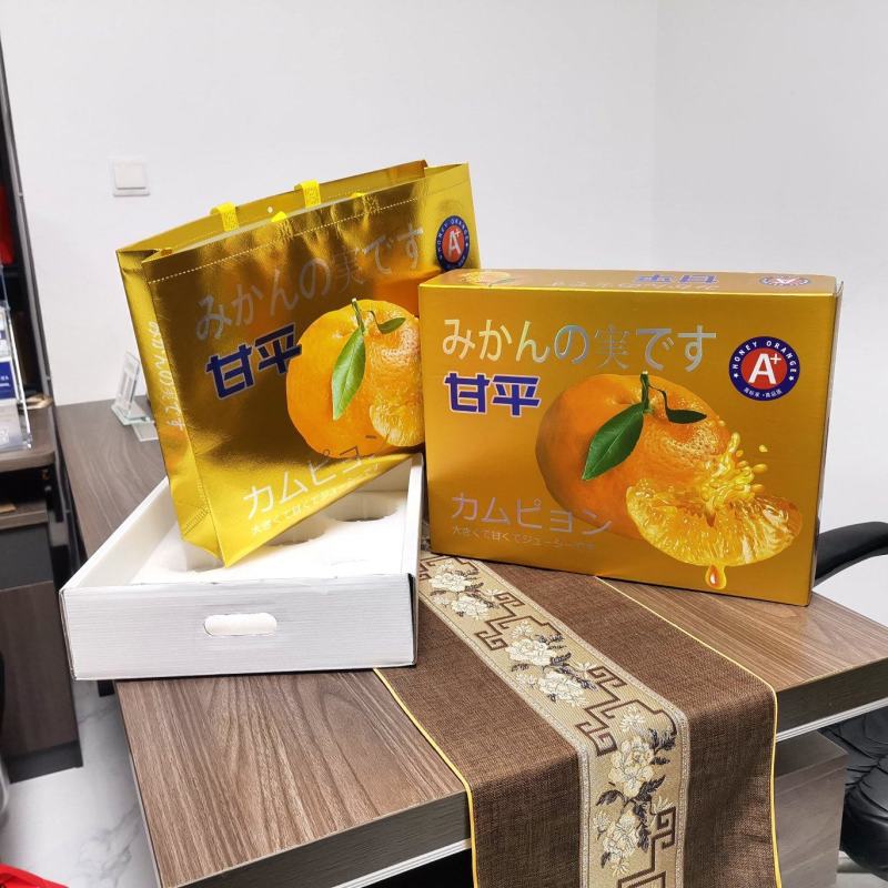 甘平天地盖金卡加手提袋