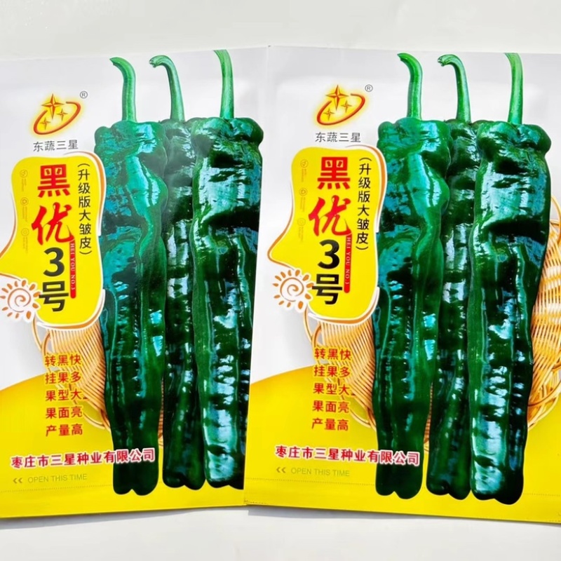 黑优3号皱皮辣椒品种，香辣口感，羊角型，大黑皱皮种子