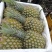 【热卖推荐】菠萝现货量大从优欢迎选购对接全国市场