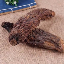 中药材肉苁蓉新疆整根包邮当天发货多仓