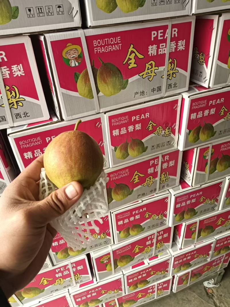 梨香梨库尔勒香梨皮薄汁多脆甜产地直供一手货源