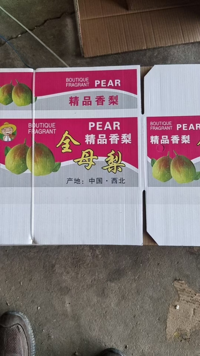 梨香梨库尔勒香梨皮薄汁多脆甜产地直供一手货源