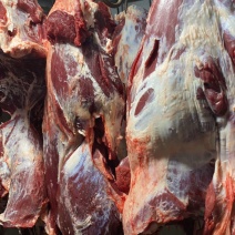 育肥母牛，全牛批发。国产纯干排酸牛肉，精修去油，口感细嫩