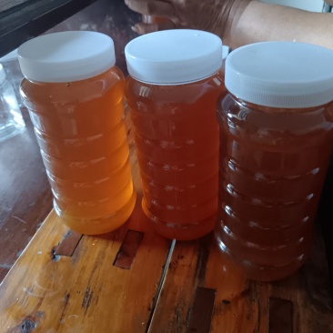自家的养的士蜂蜜没