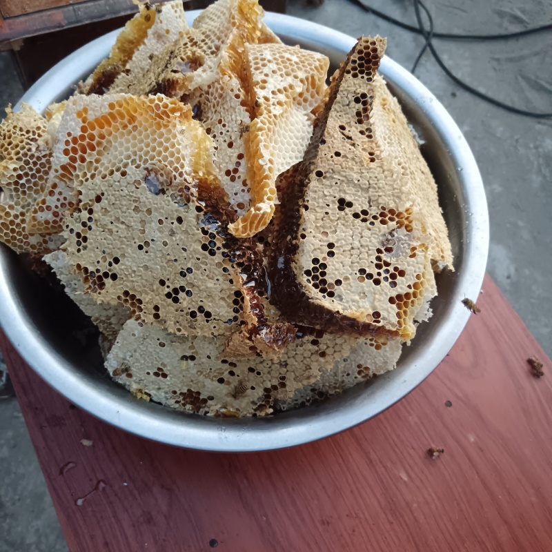 自家的养的士蜂蜜没